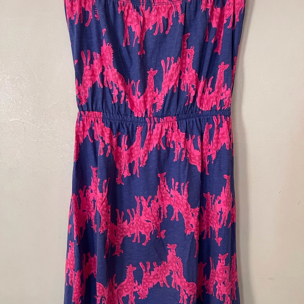 Lilly Pulitzer Pink and Blue Patterned Skirt